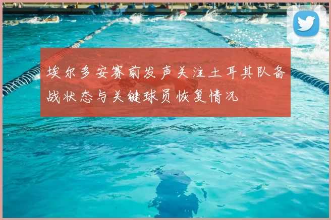 埃尔多安赛前发声关注土耳其队备战状态与关键球员恢复情况