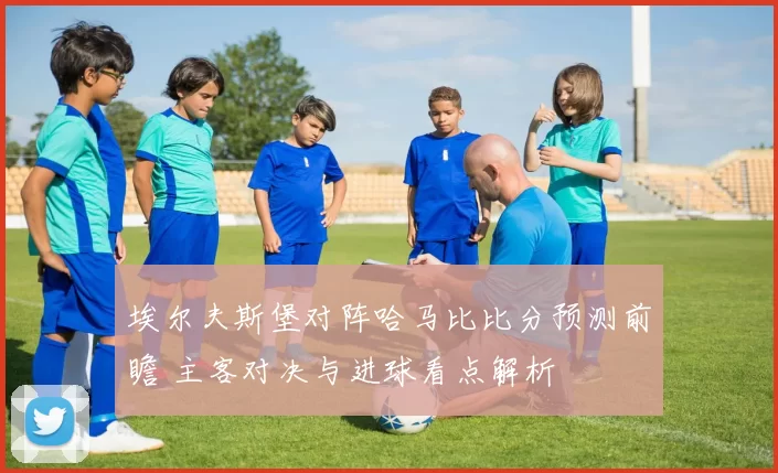 埃尔夫斯堡对阵哈马比比分预测前瞻 主客对决与进球看点解析