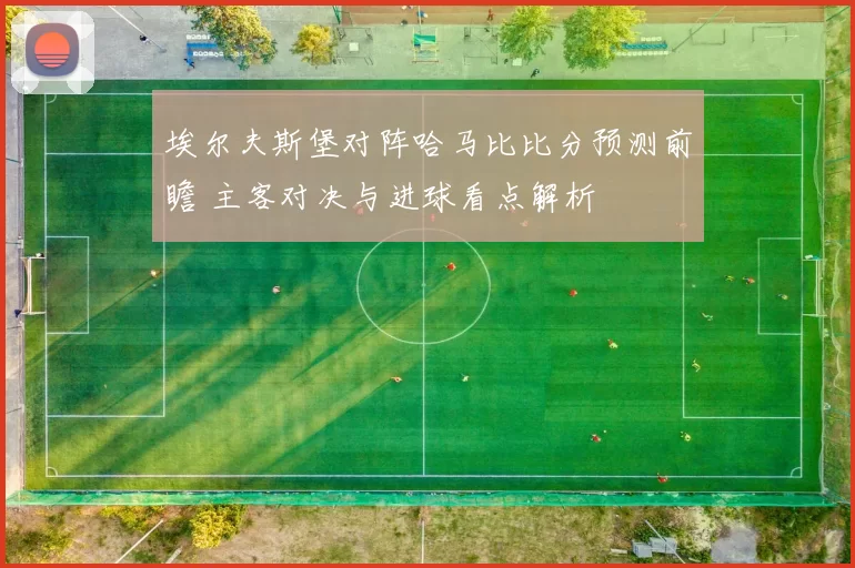 埃尔夫斯堡对阵哈马比比分预测前瞻 主客对决与进球看点解析