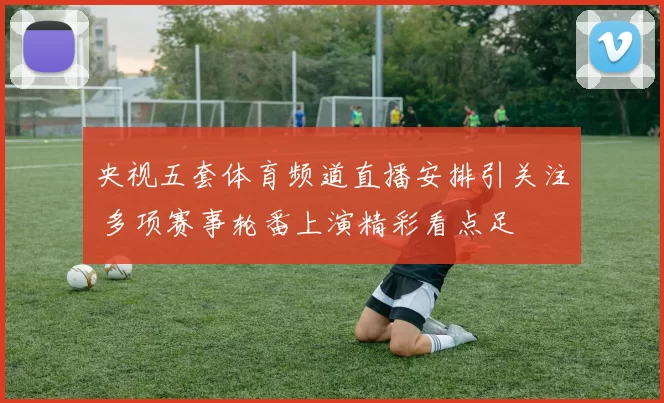 央视五套体育频道直播安排引关注 多项赛事轮番上演精彩看点足