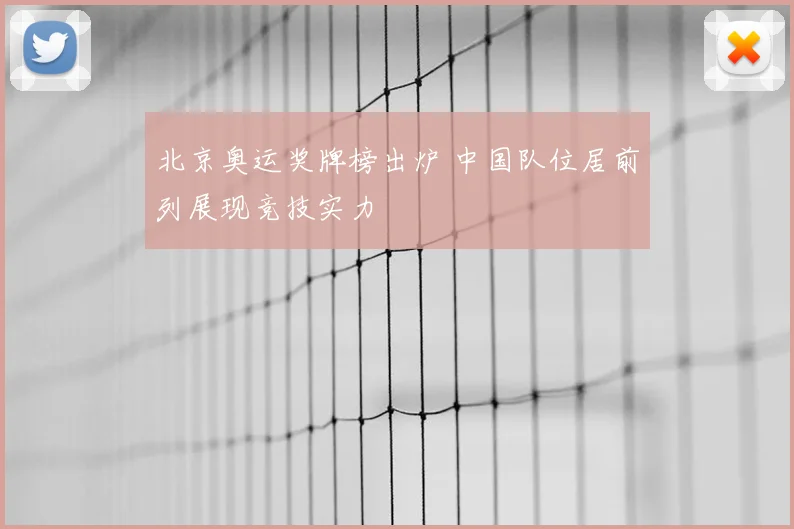 北京奥运奖牌榜出炉 中国队位居前列展现竞技实力