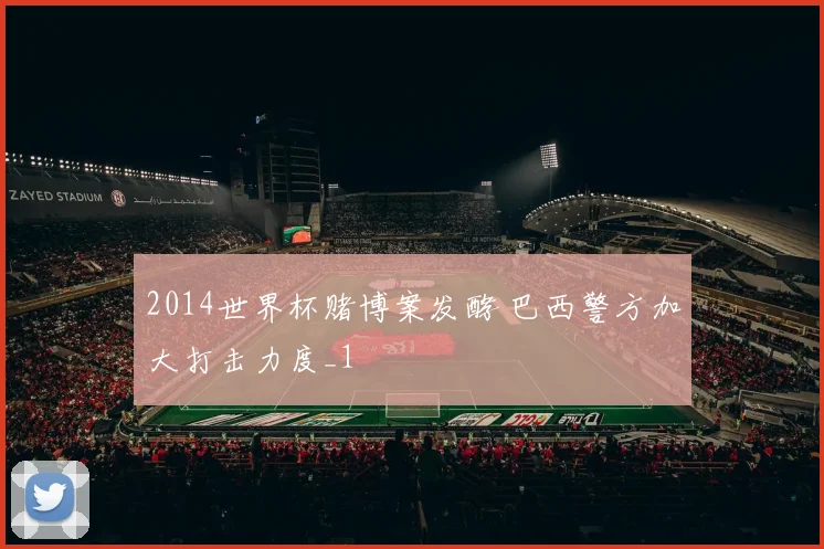 2014世界杯赌博案发酵 巴西警方加大打击力度_1