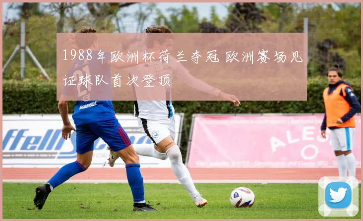1988年欧洲杯荷兰夺冠 欧洲赛场见证球队首次登顶