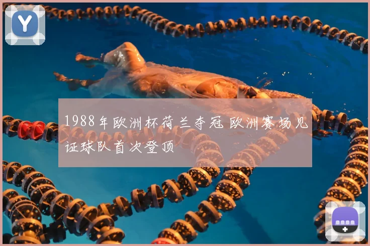 1988年欧洲杯荷兰夺冠 欧洲赛场见证球队首次登顶