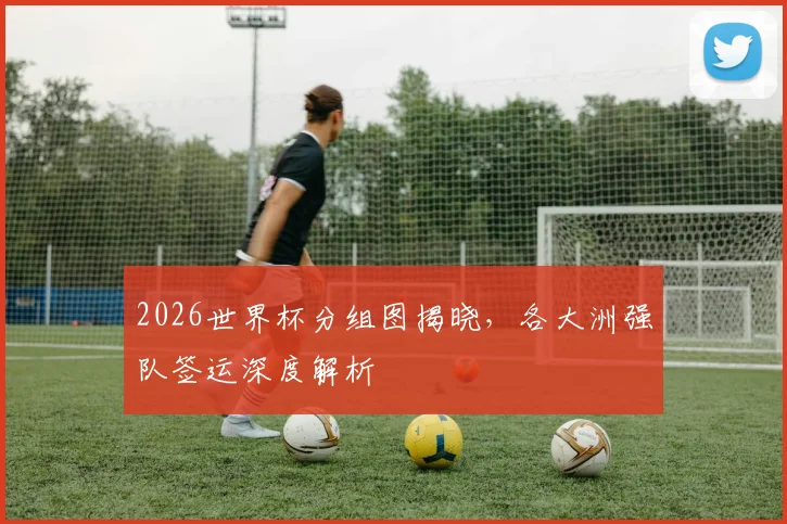2026世界杯分组图揭晓,各大洲强队签运深度解析