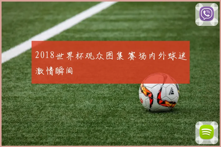 2018世界杯观众图集 赛场内外球迷激情瞬间