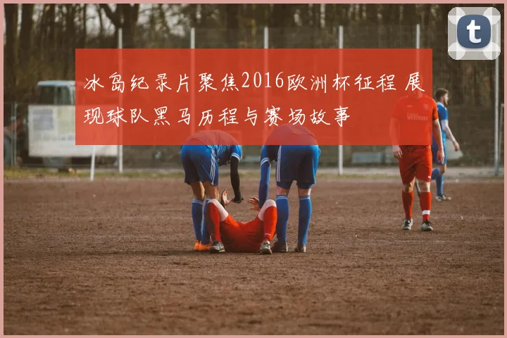 冰岛纪录片聚焦2016欧洲杯征程 展现球队黑马历程与赛场故事